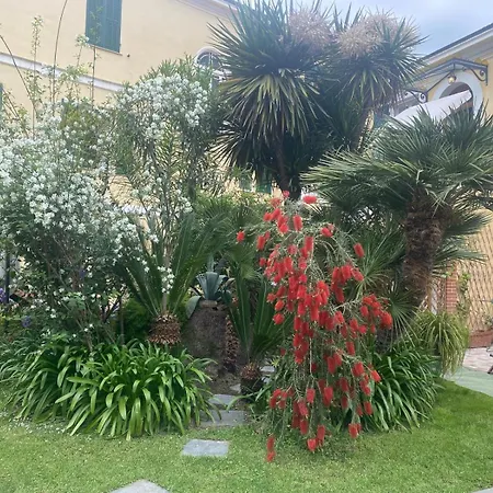 Lägenhet Angelina Homes I Casa Glicine I 5 Minuti A Piedi Dalle Spiagge I Giardino I Parcheggio Privato